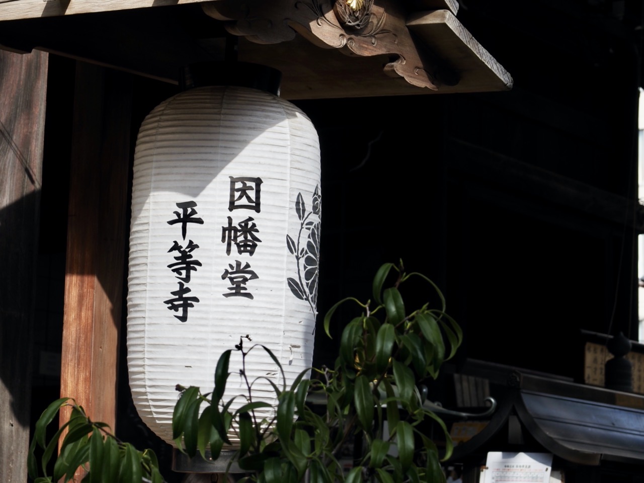 2026-02-14 14-33-54.jpeg 2026-02-14 14-33-54.