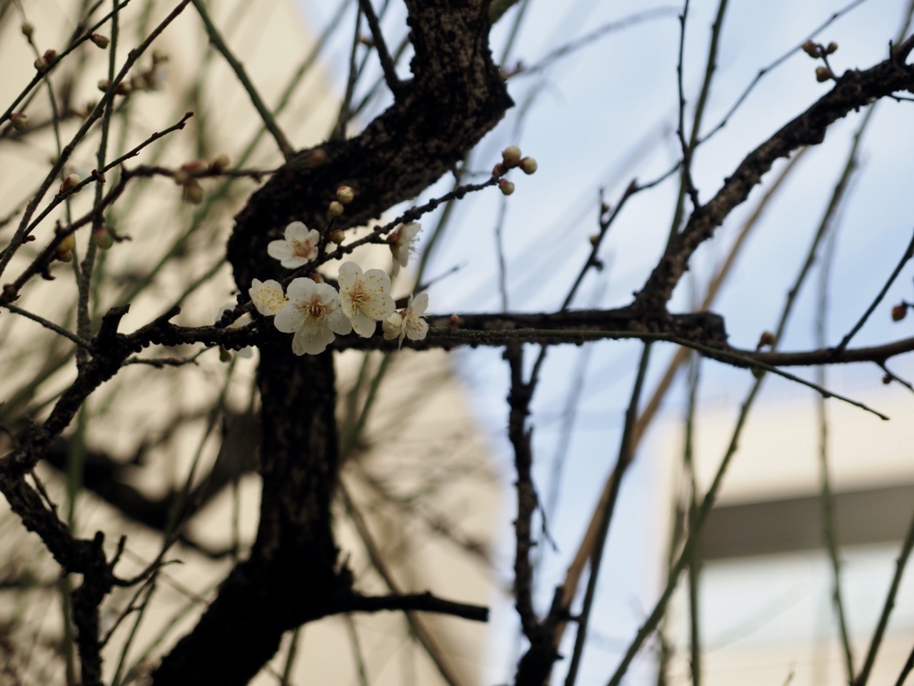 2026-02-14 14-41-22.jpeg 2026-02-14 14-41-22.