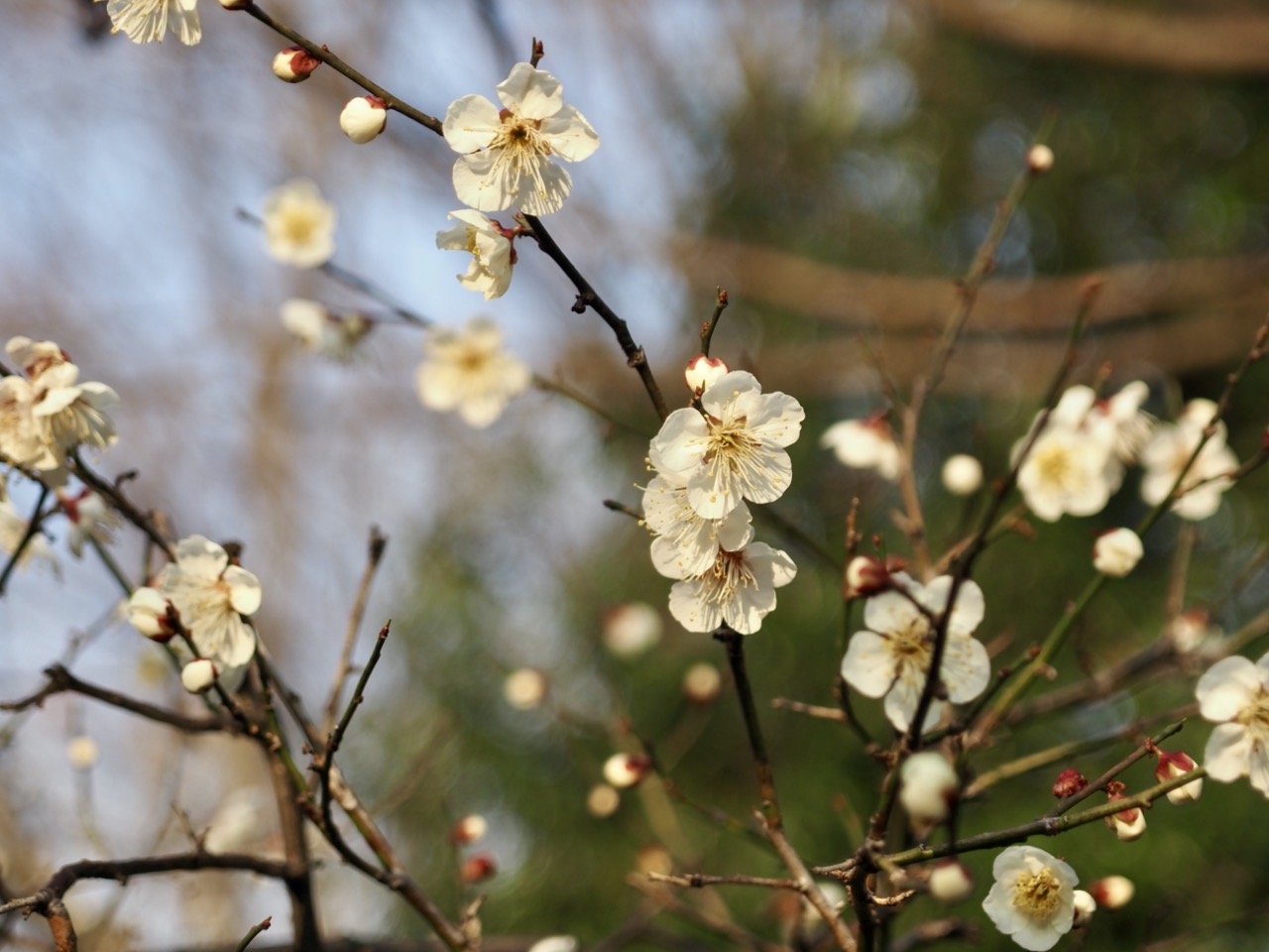 2026-02-14 16-53-13.jpeg 2026-02-14 16-53-13.