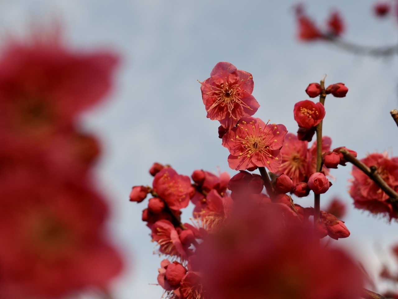 2026-02-14 16-55-17.jpeg 2026-02-14 16-55-17.