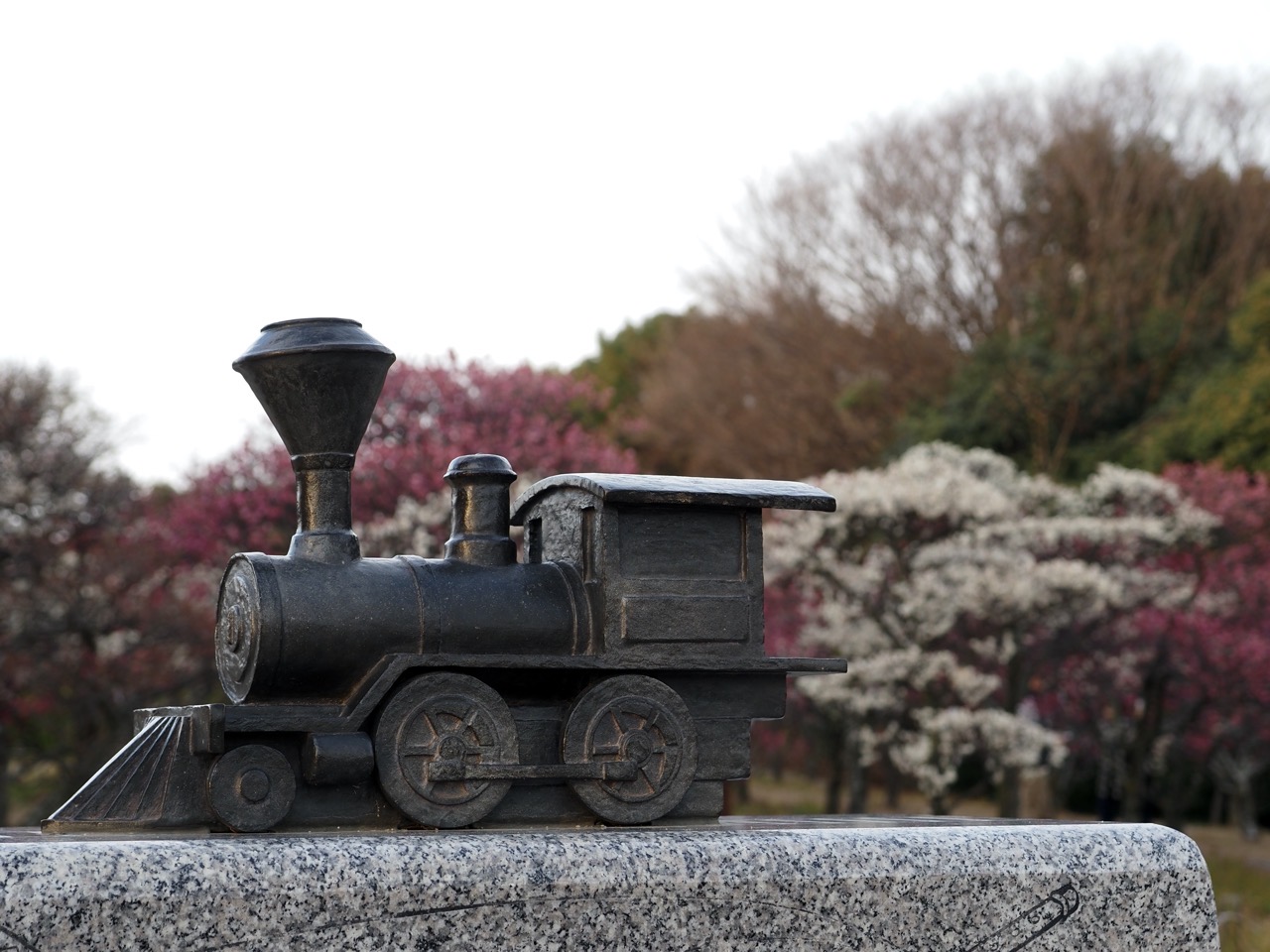 2026-02-14 16-59-38.jpeg 2026-02-14 16-59-38.