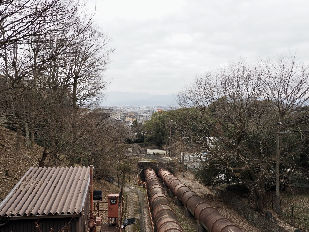 2026-02-15 11-46-58.