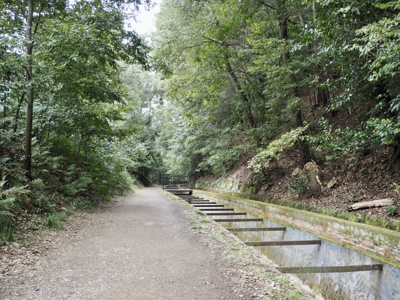 2026-02-15 11-48-48.