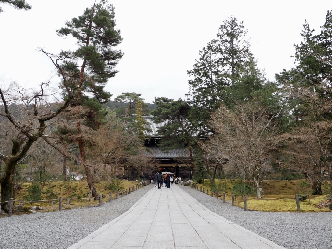 2026-02-15 11-58-59.