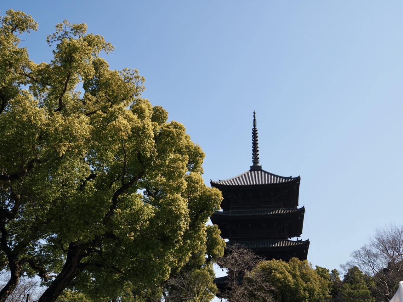 2026-02-21 11-15-43.