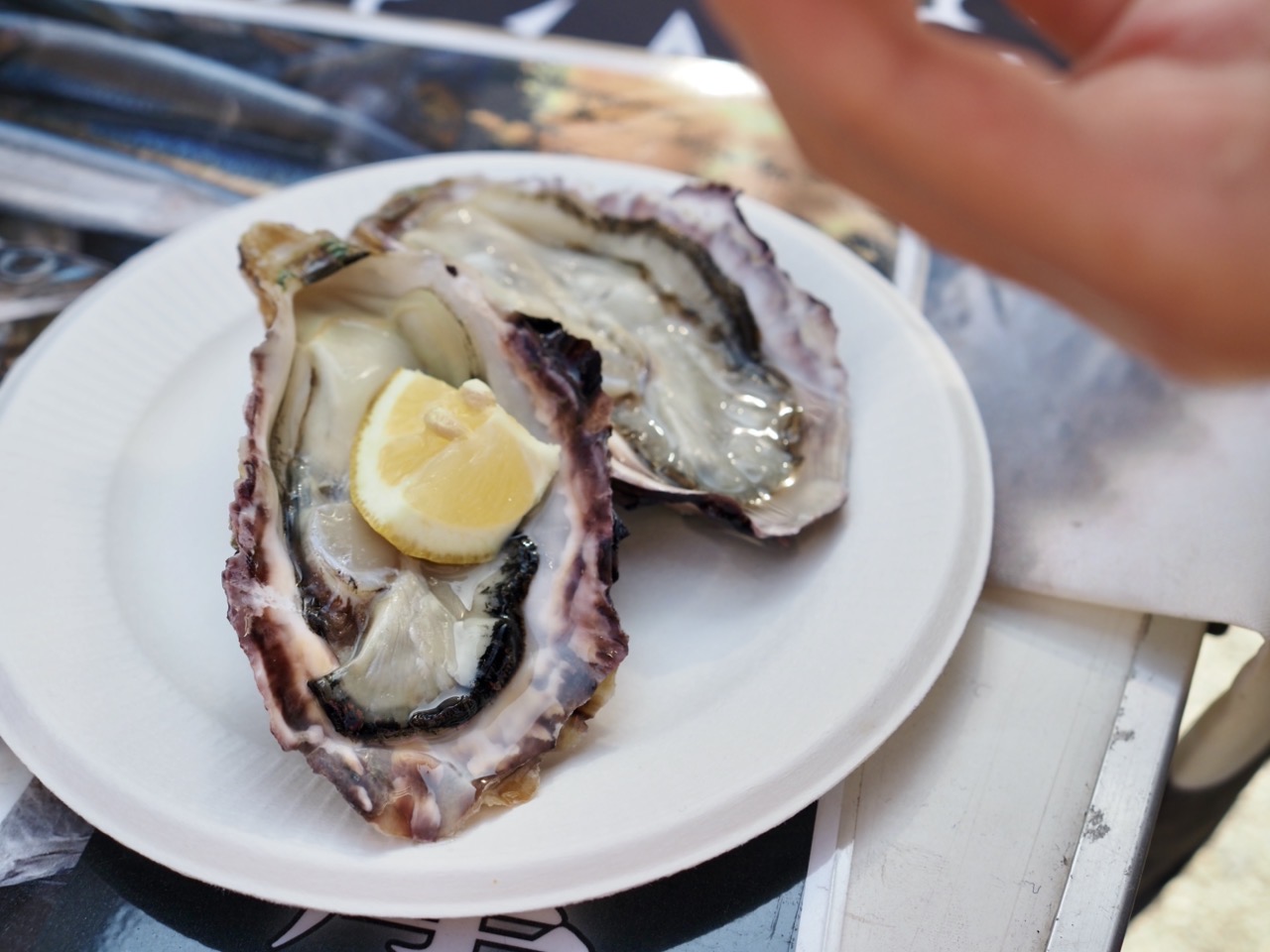 2026-02-21 11-17-12.