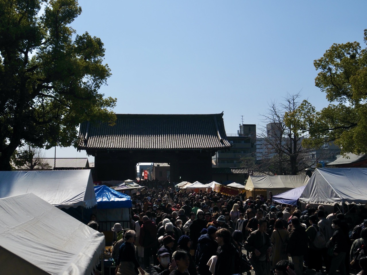 2026-02-21 11-29-31.