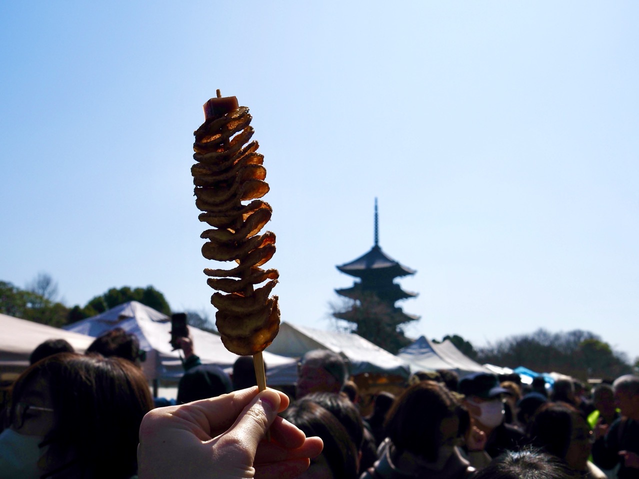 2026-02-21 11-59-43.