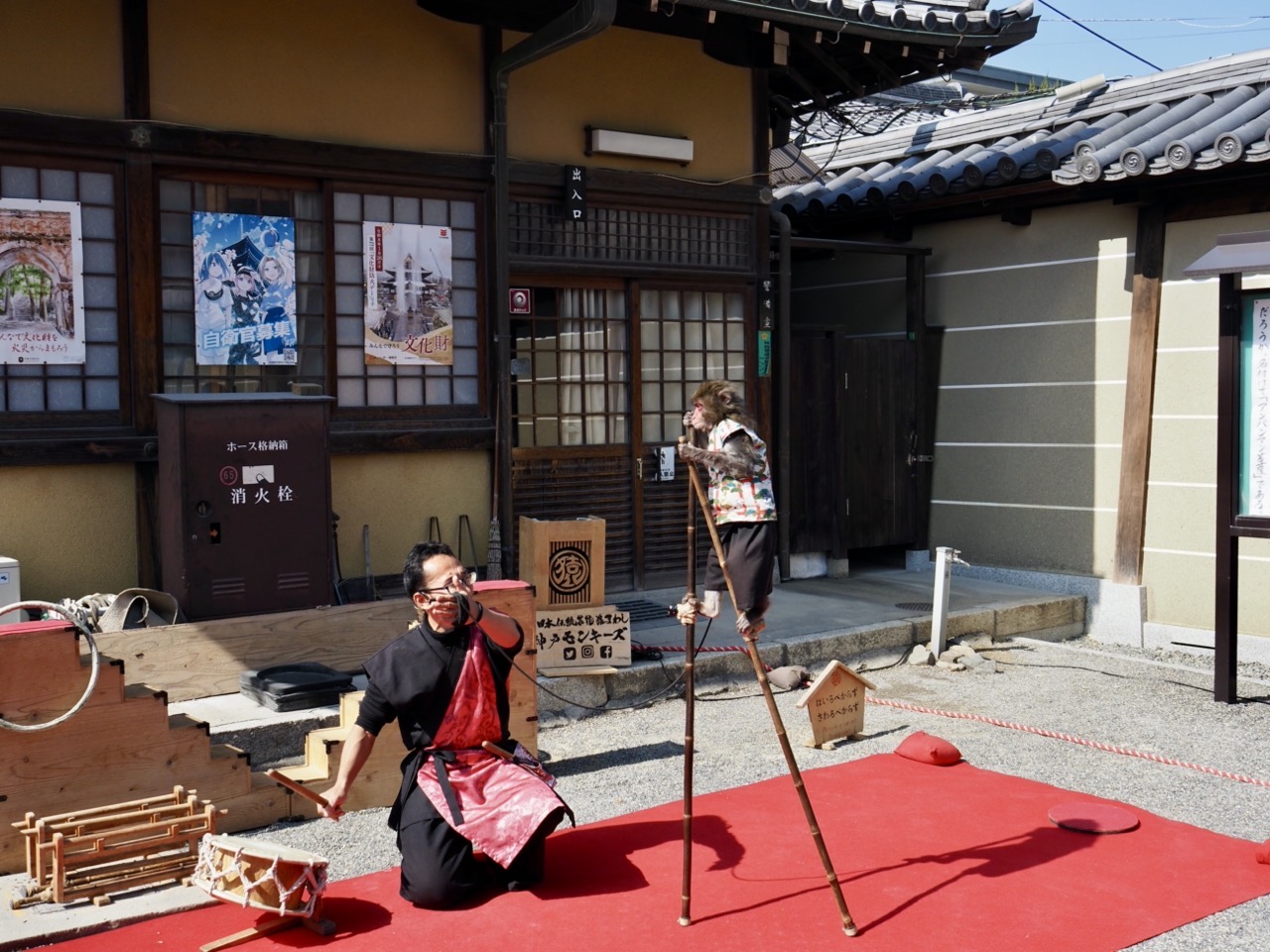 2026-02-21 12-21-11.