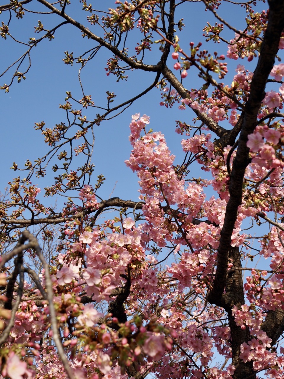 2026-03-01 07-55-17.jpeg 2026-03-01 07-55-17.