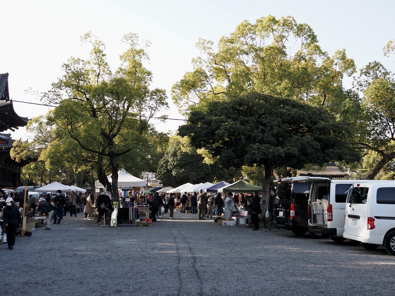 2026-03-01 08-19-45.jpeg 2026-03-01 08-19-45.