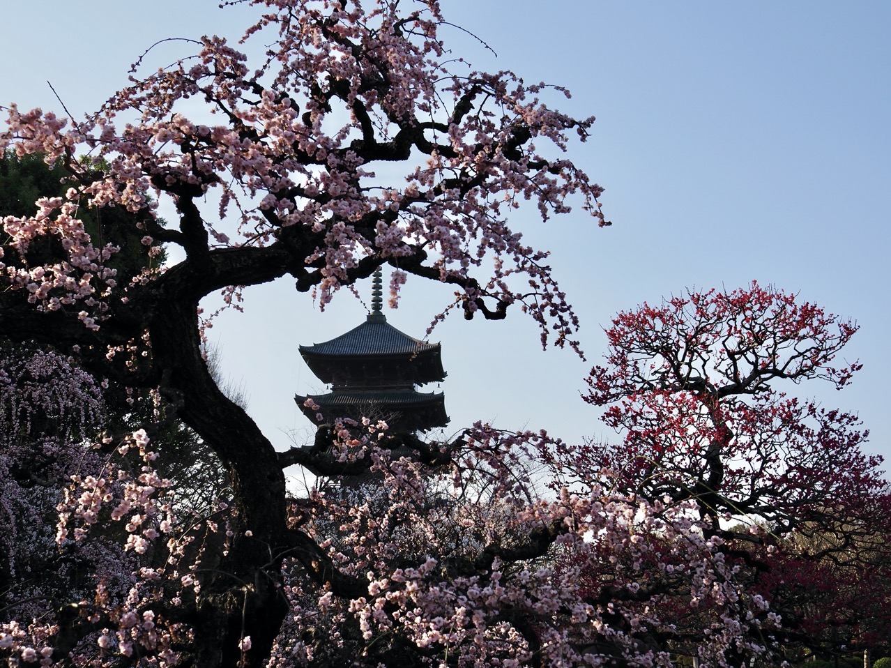 2026-03-01 08-23-41.jpeg 2026-03-01 08-23-41.