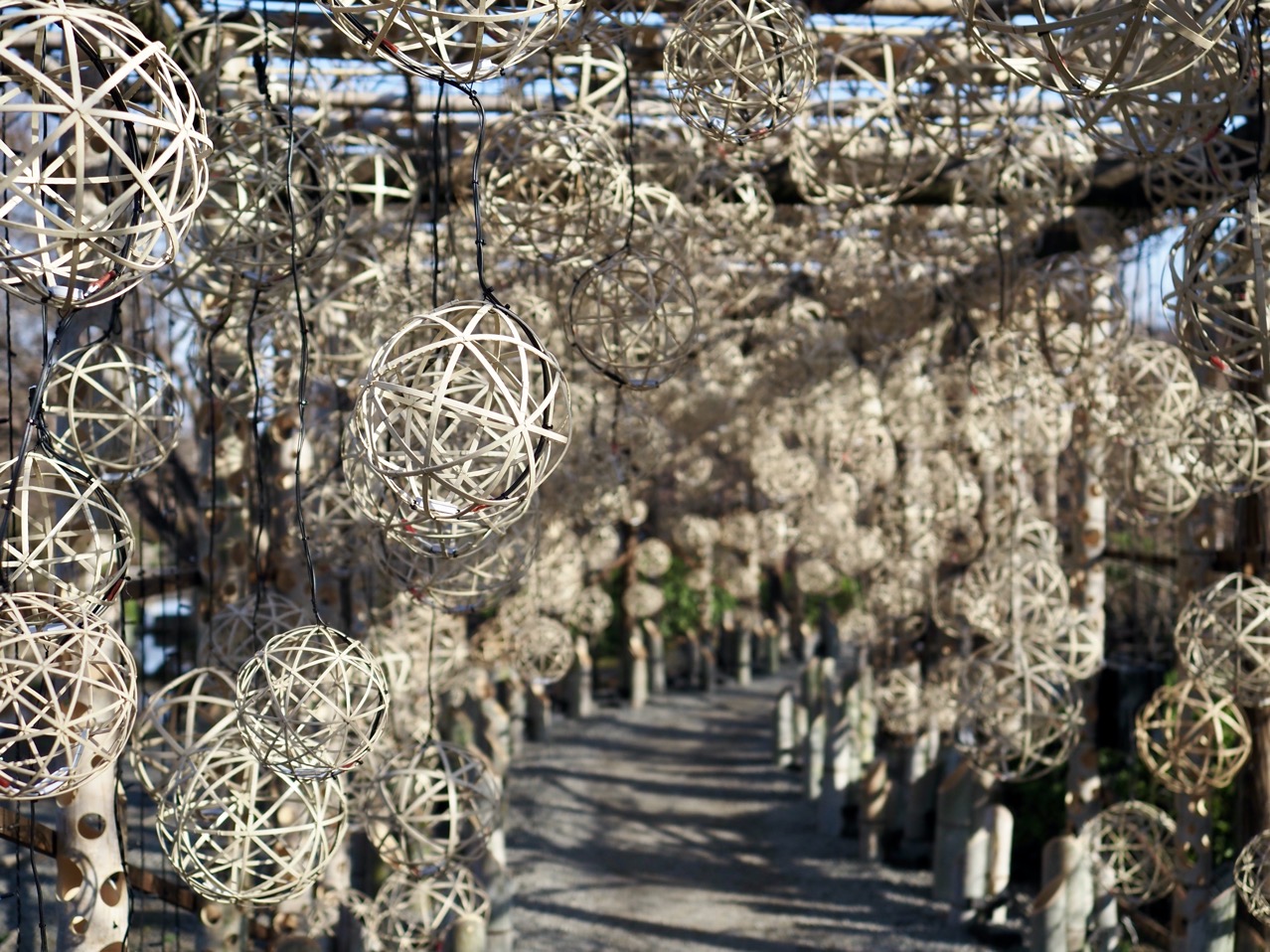 2026-03-01 08-26-31.jpeg 2026-03-01 08-26-31.