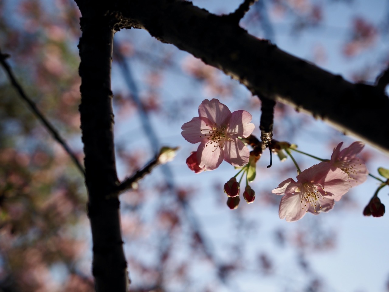 2026-03-01 08-32-33.jpeg 2026-03-01 08-32-33.