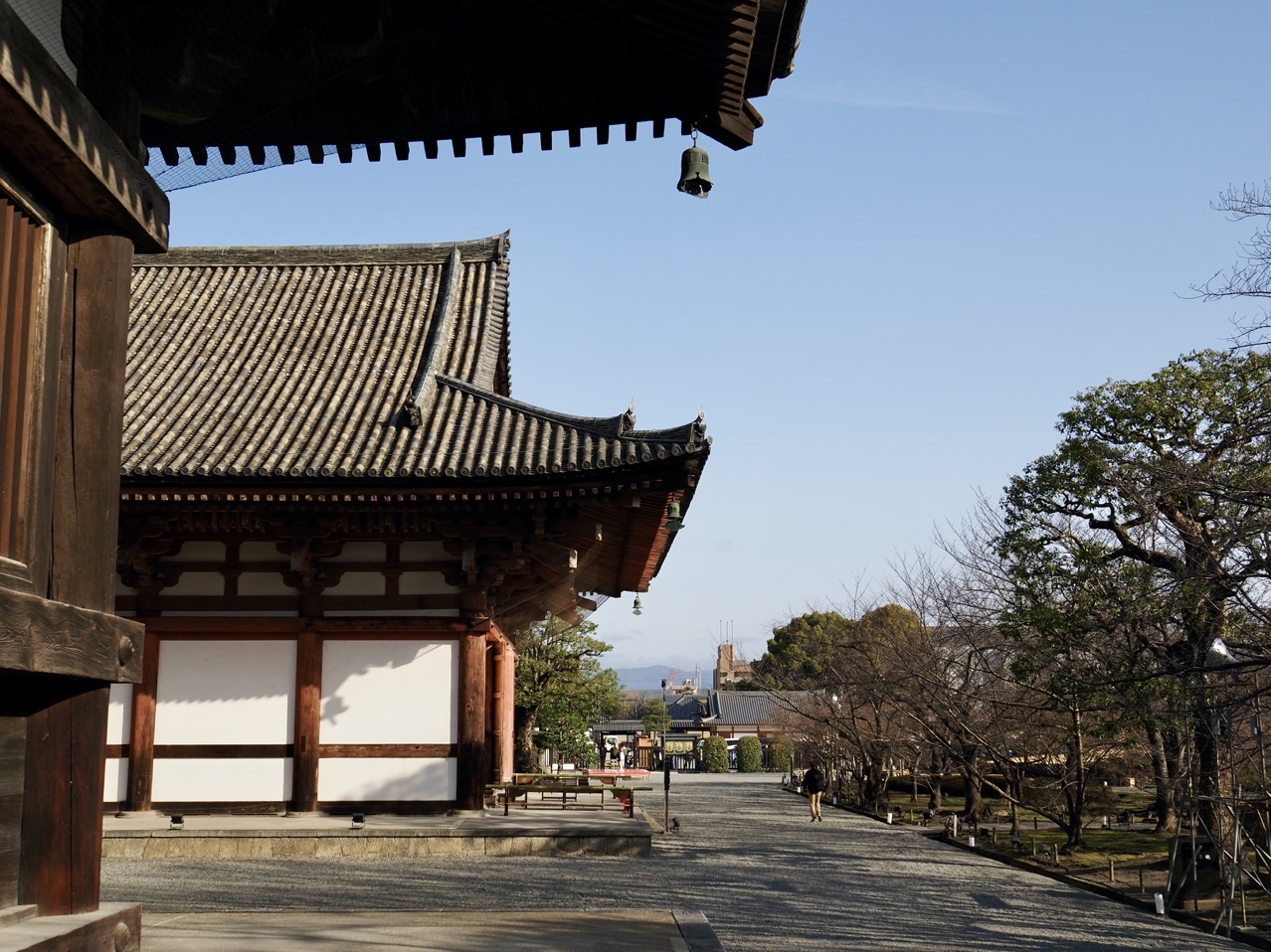 2026-03-01 08-36-32.jpeg 2026-03-01 08-36-32.