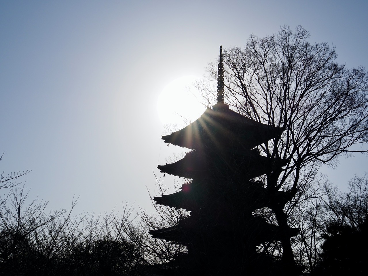 2026-03-01 08-36-55.jpeg 2026-03-01 08-36-55.