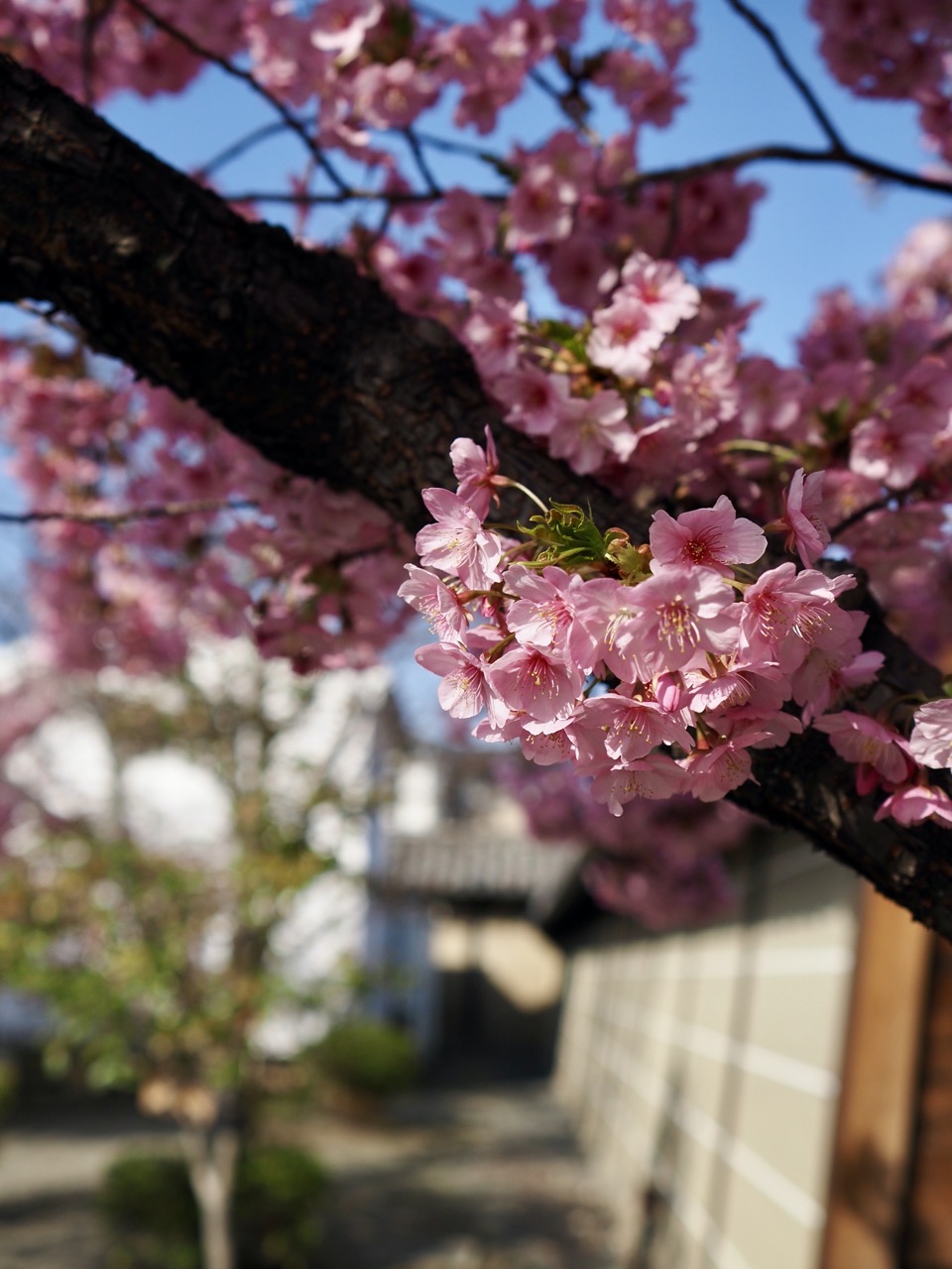 2026-03-01 08-55-12.jpeg 2026-03-01 08-55-12.