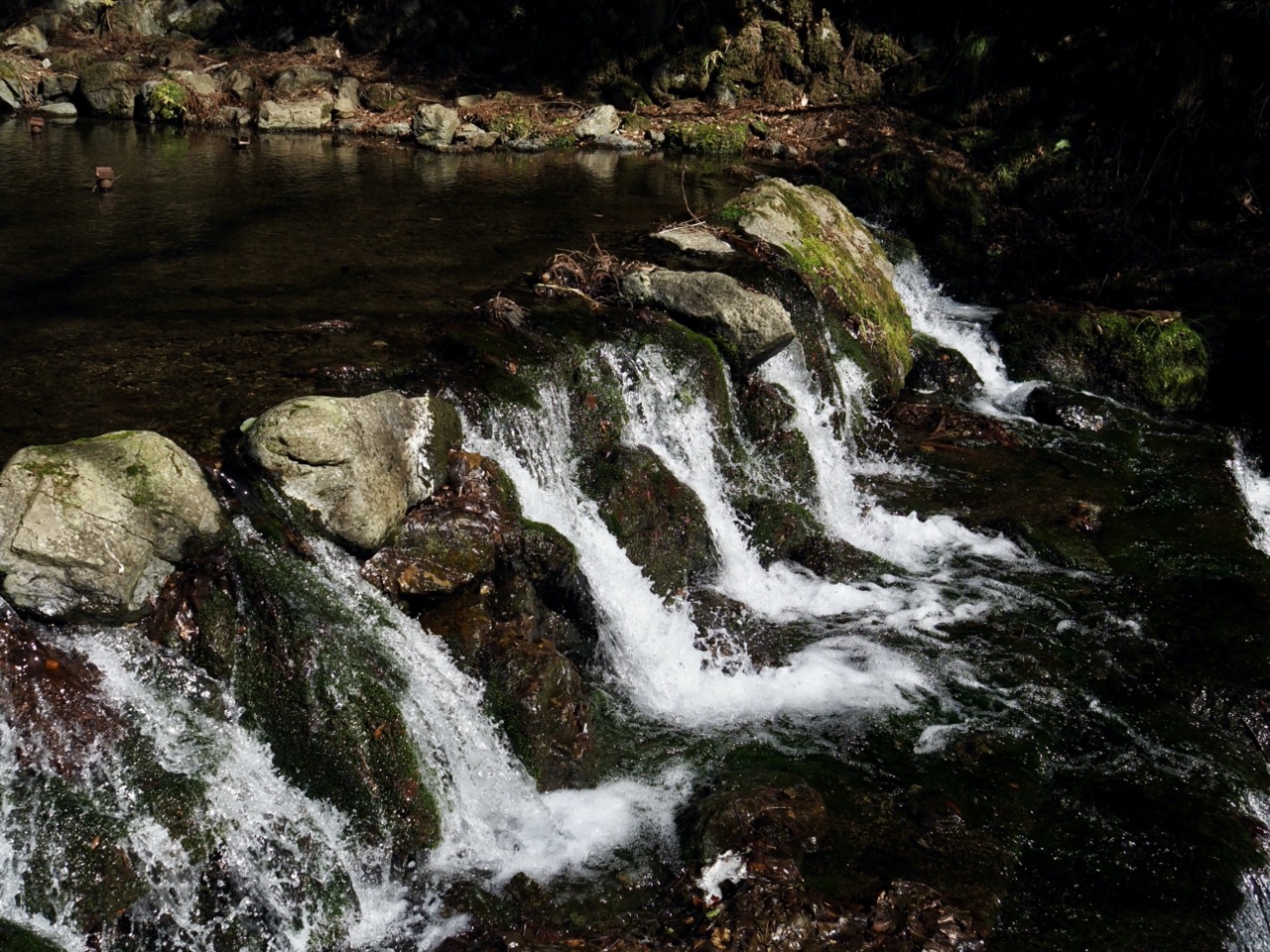 2026-03-01 13-38-31.