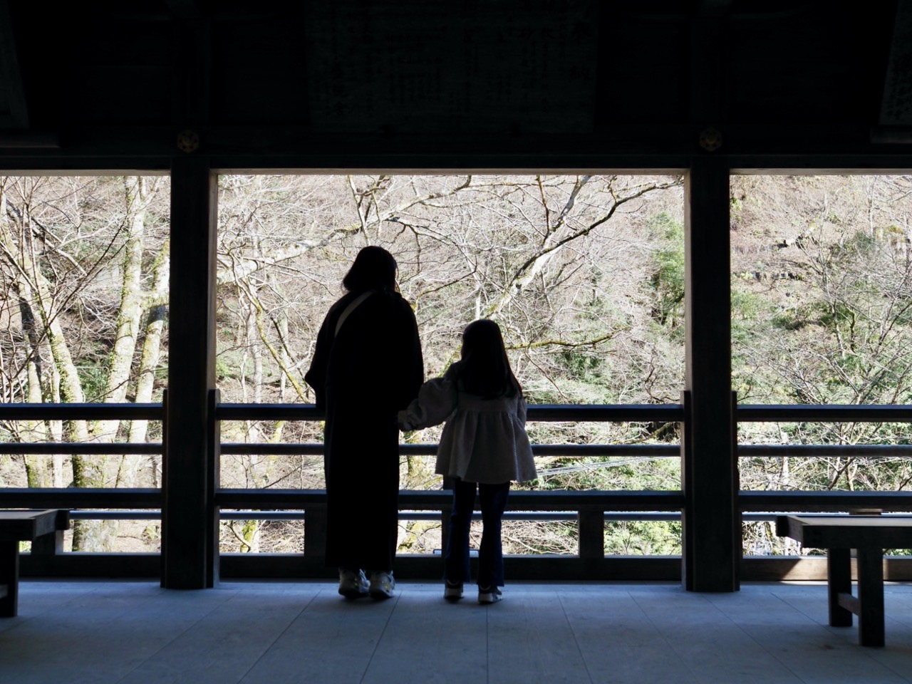 2026-03-01 13-50-15.