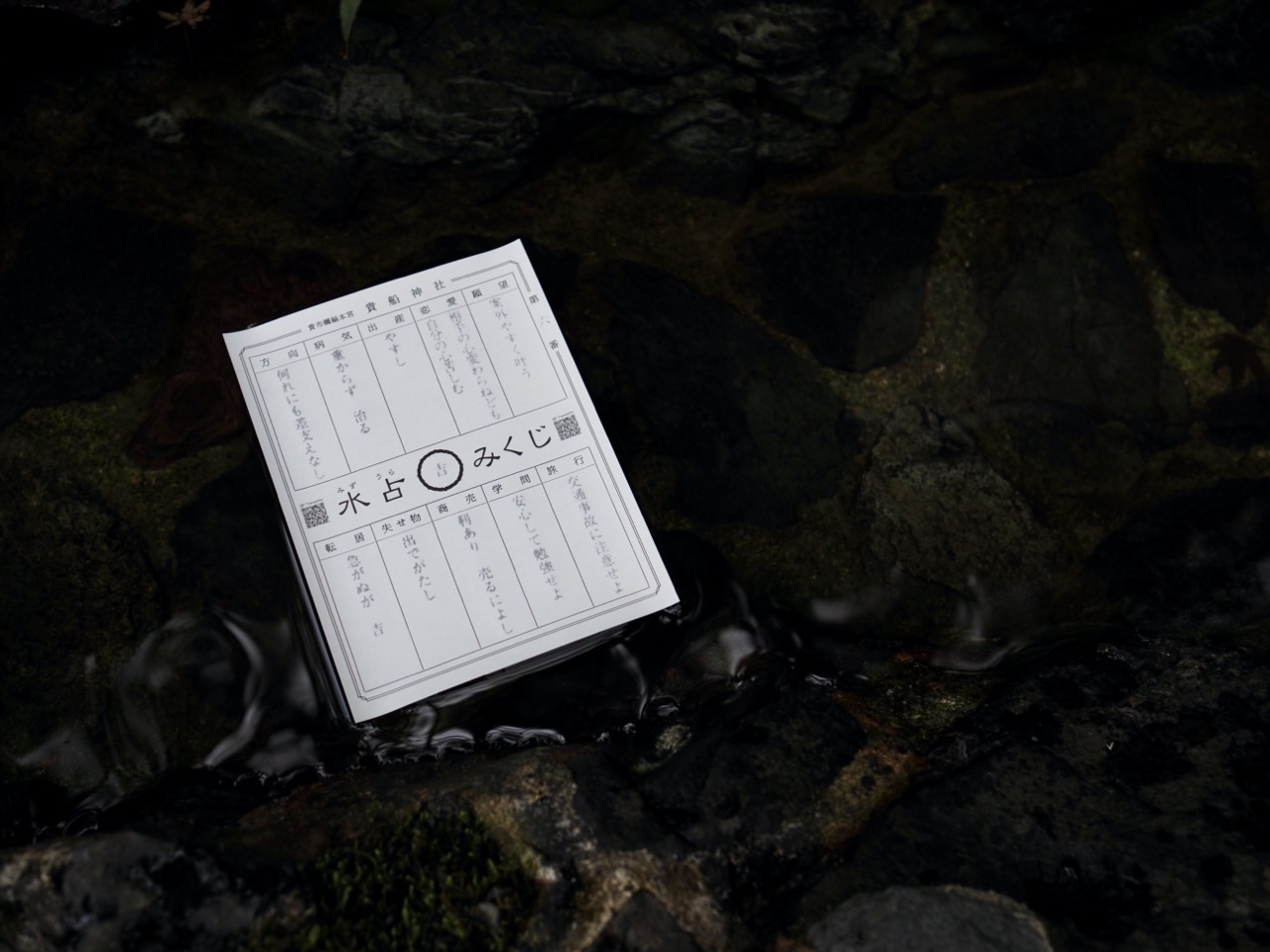 2026-03-01 13-54-36.