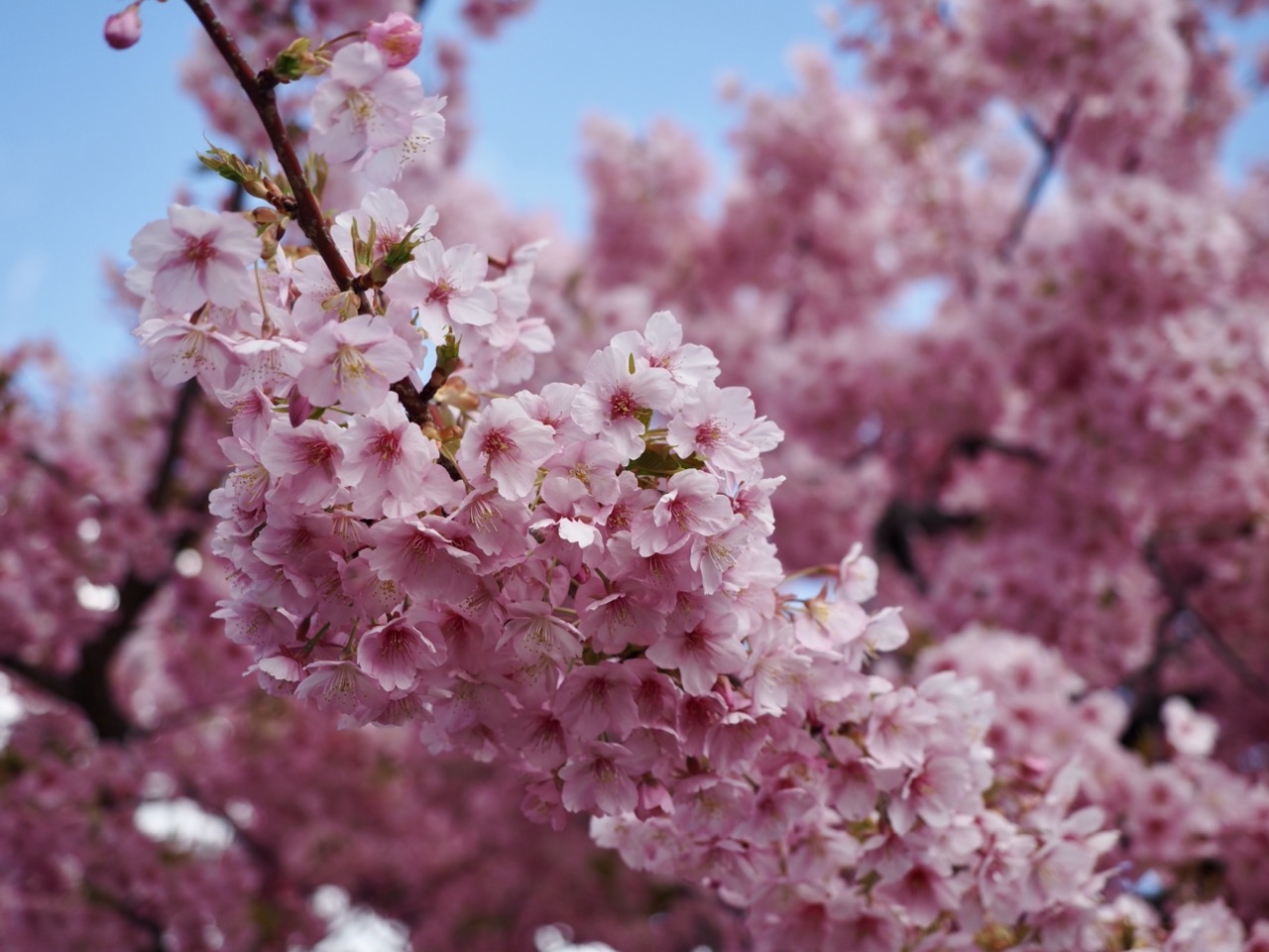 2026-03-07 10-59-58.