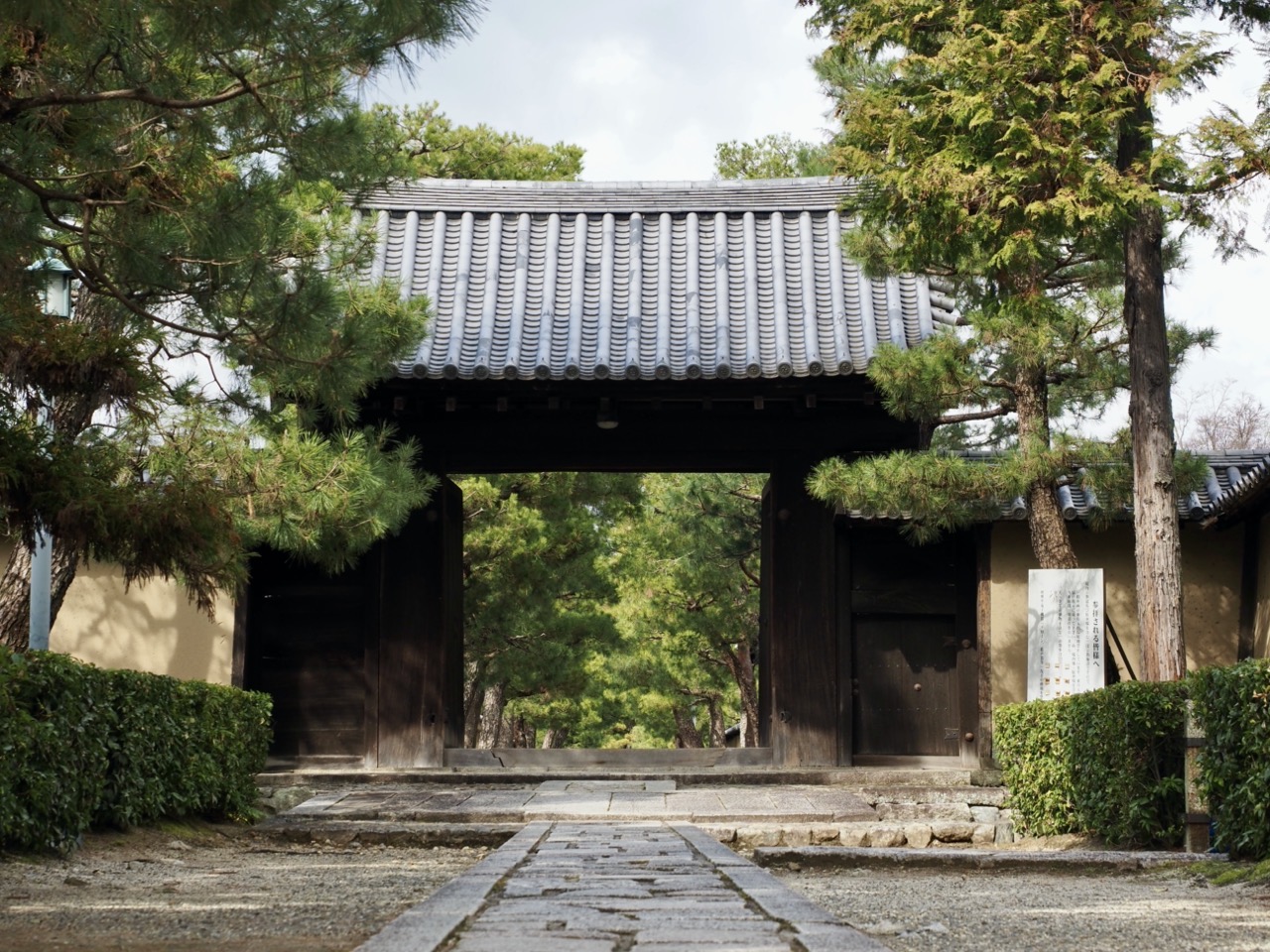 2026-03-07 13-31-57.