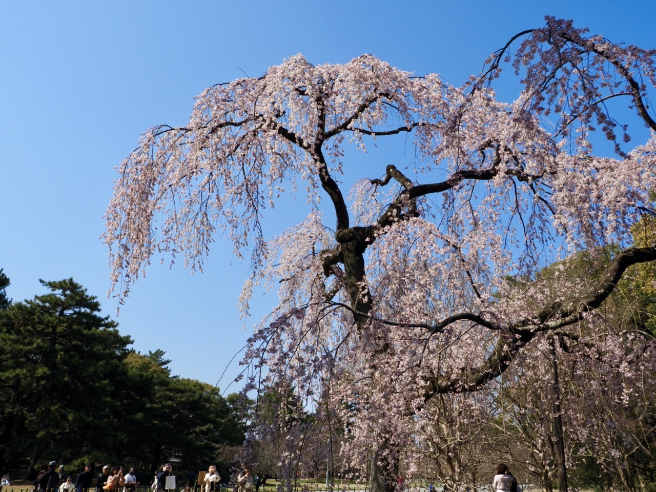 2026-03-21 14-10-27.jpeg 2026-03-21 14-10-27.