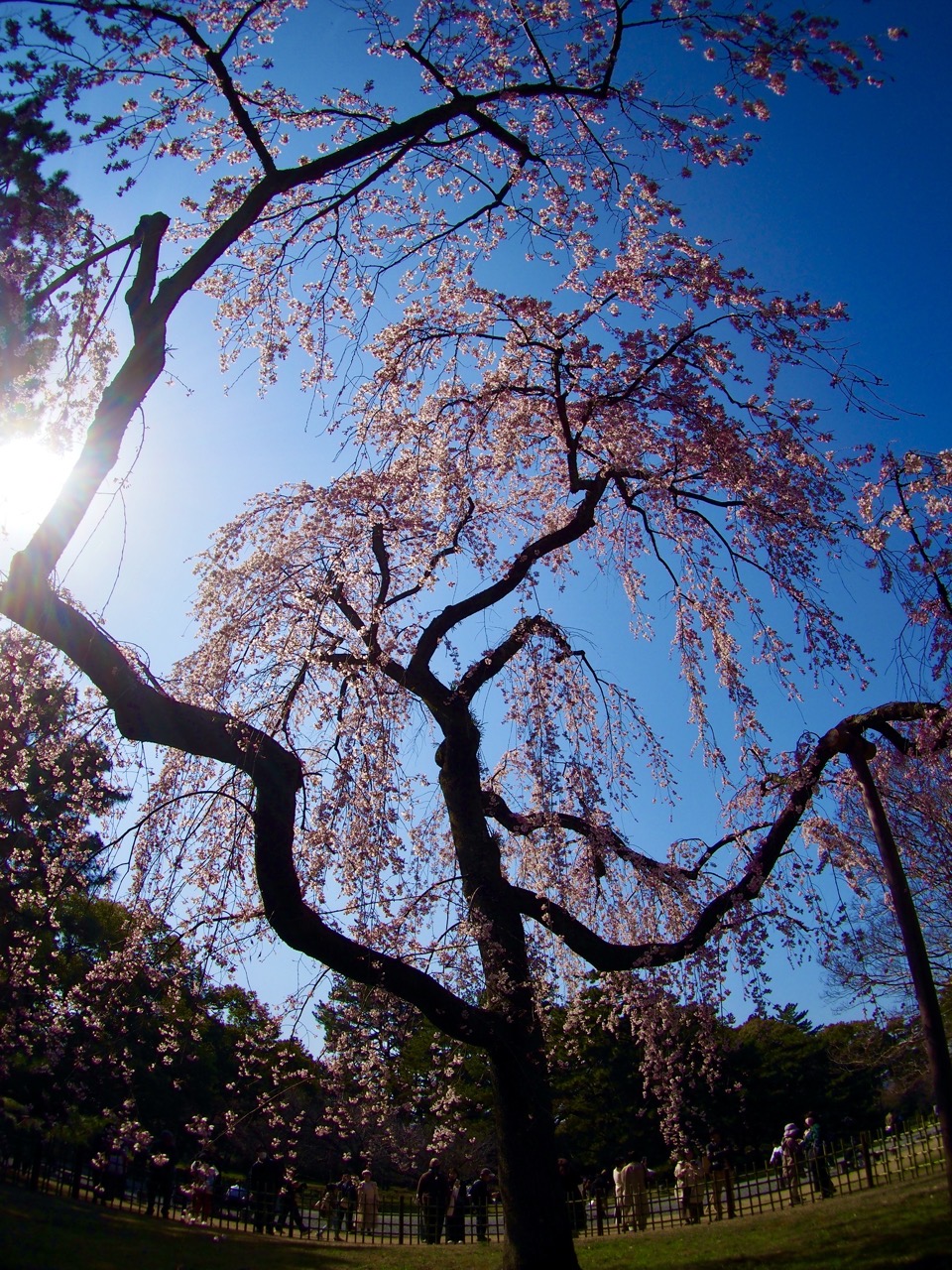 2026-03-21 14-11-27.jpeg 2026-03-21 14-11-27.