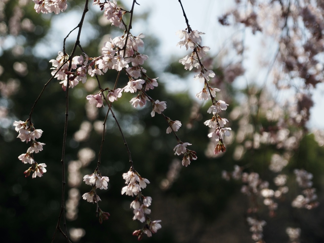 2026-03-21 14-13-58.jpeg 2026-03-21 14-13-58.