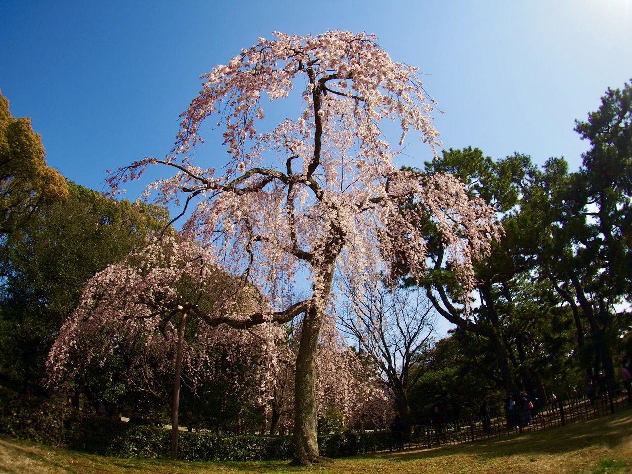 2026-03-21 14-15-18.jpeg 2026-03-21 14-15-18.