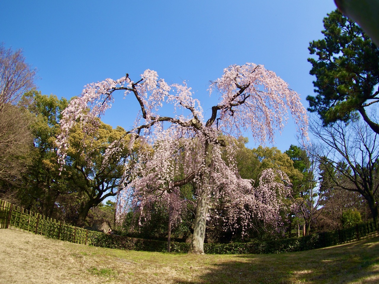 2026-03-21 14-16-58.jpeg 2026-03-21 14-16-58.