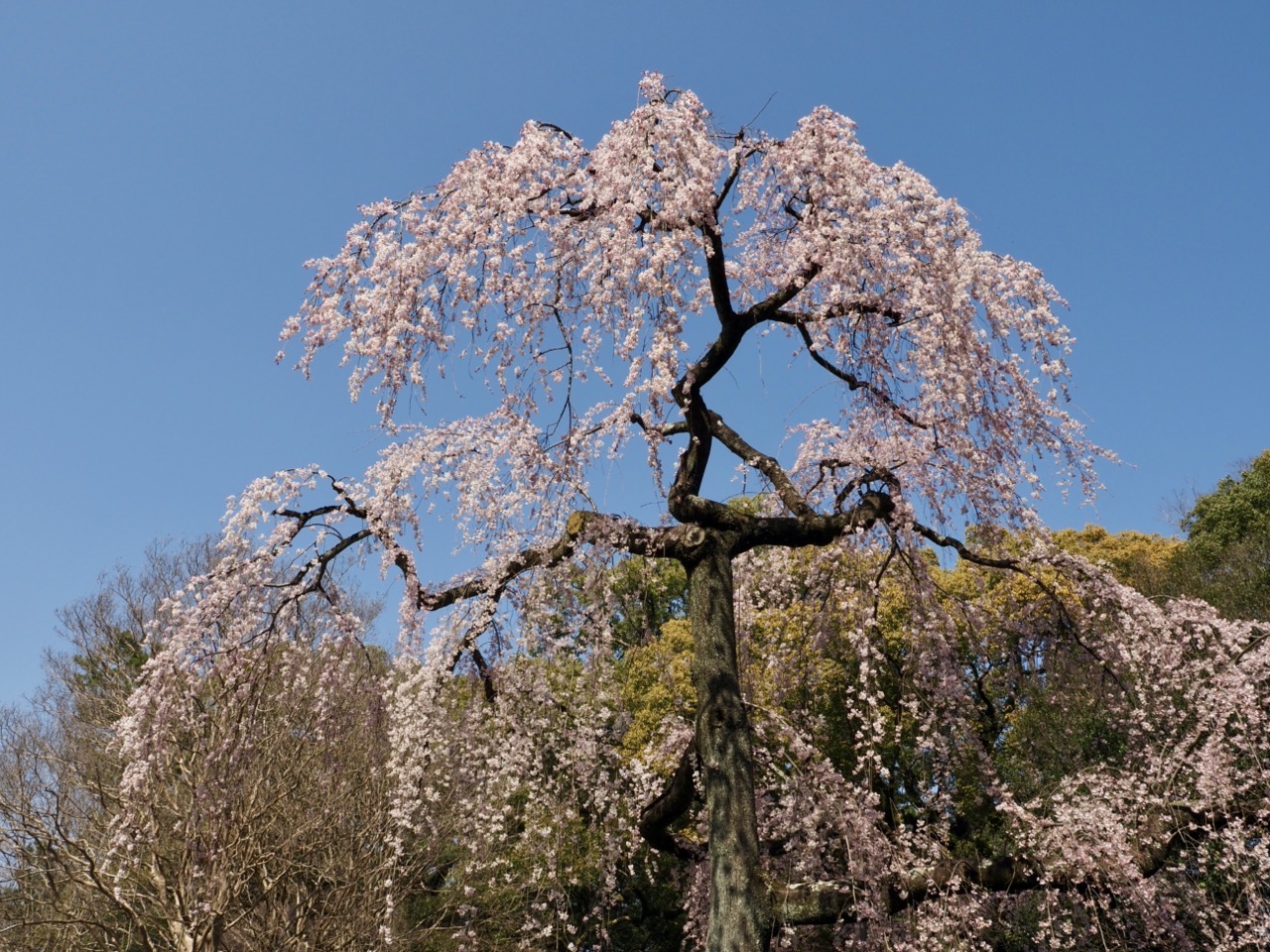 2026-03-21 14-18-44.jpeg 2026-03-21 14-18-44.