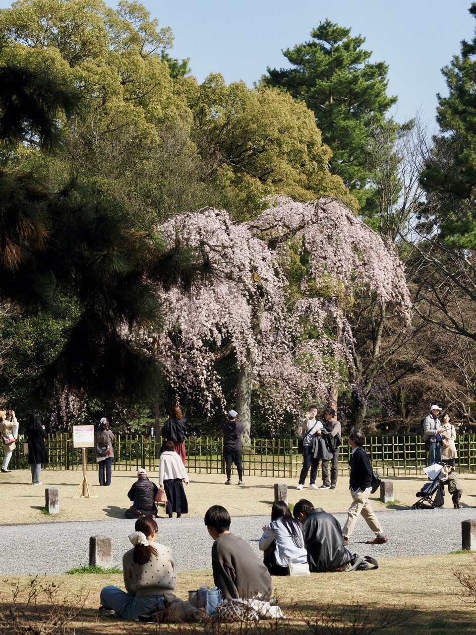 2026-03-21 14-23-50.jpeg 2026-03-21 14-23-50.