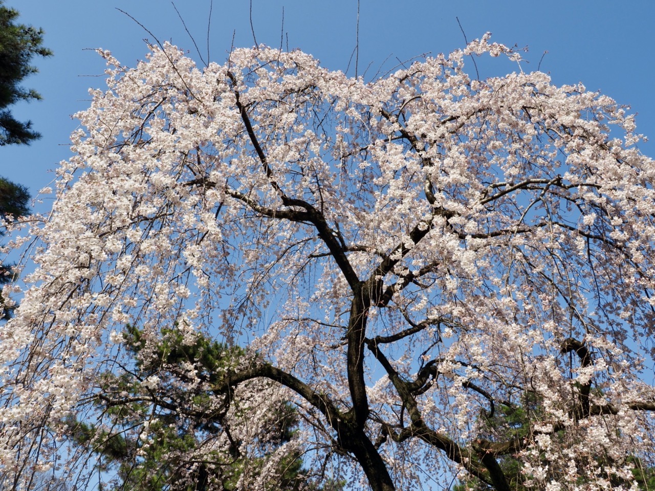 2026-03-21 14-49-15.jpeg 2026-03-21 14-49-15.