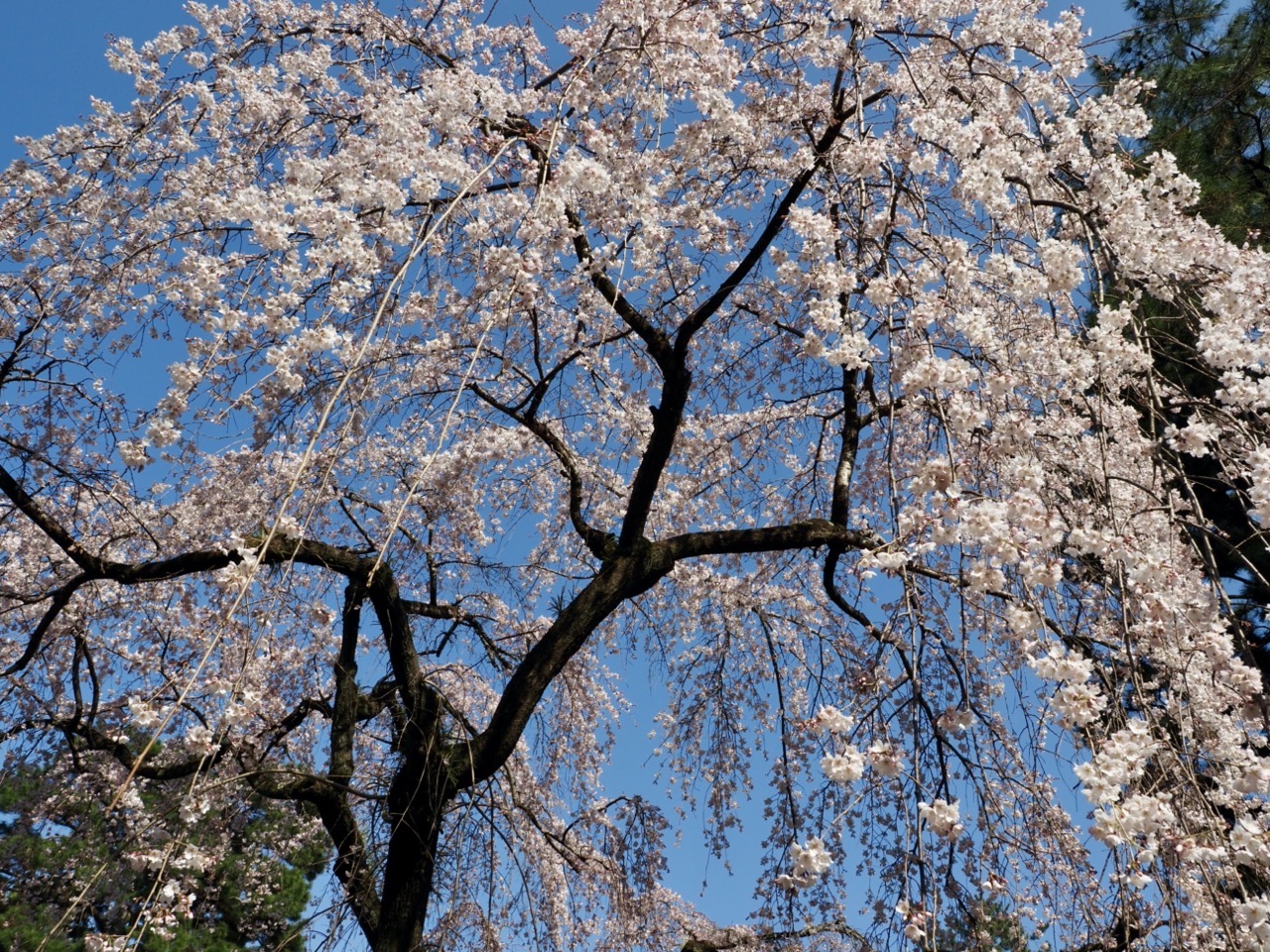 2026-03-21 14-50-31.jpeg 2026-03-21 14-50-31.