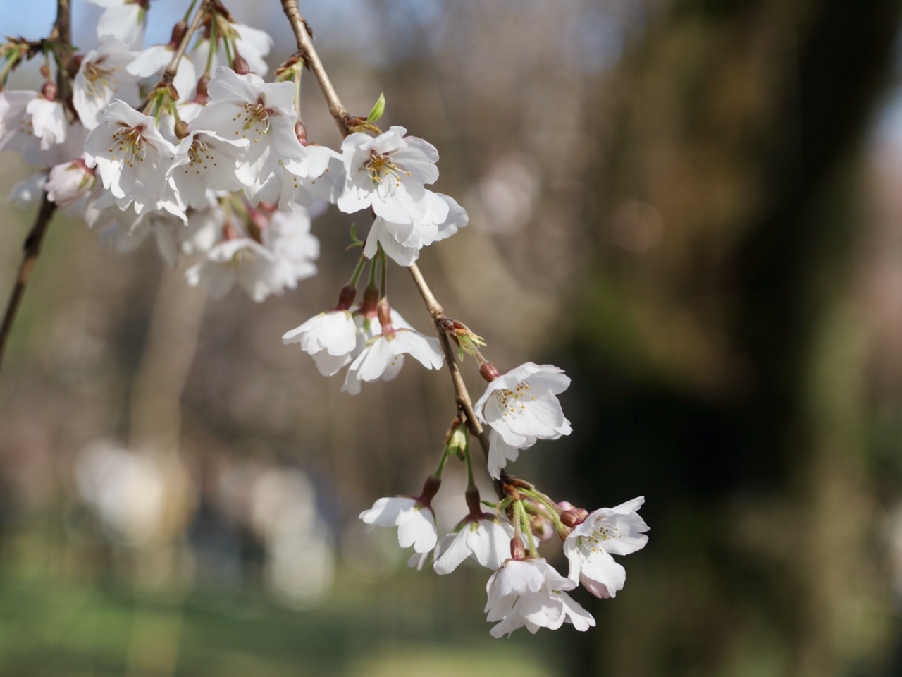 2026-03-21 14-52-32.jpeg 2026-03-21 14-52-32.