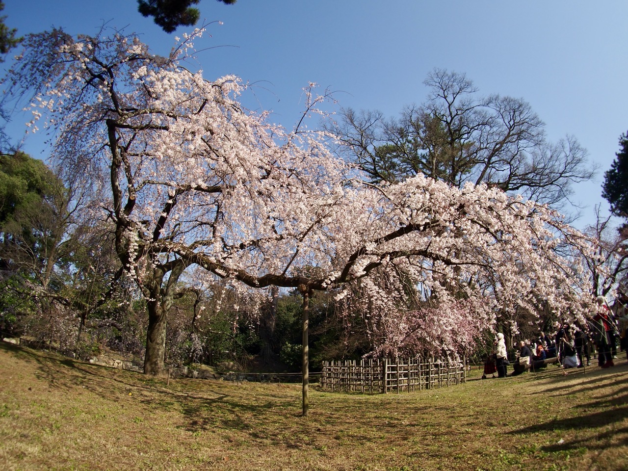 2026-03-21 14-55-02.jpeg 2026-03-21 14-55-02.