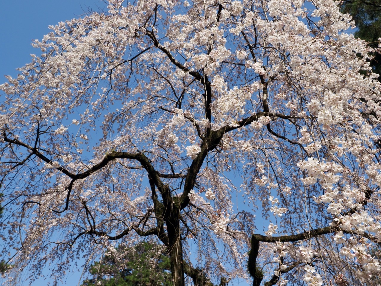 2026-03-21 14-58-55.jpeg 2026-03-21 14-58-55.