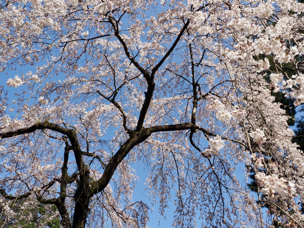 2026-03-21 14-59-55.jpeg 2026-03-21 14-59-55.