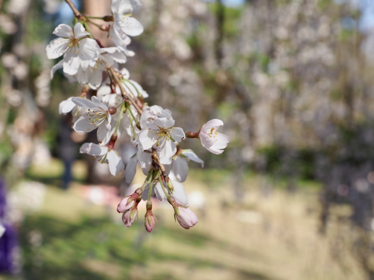 2026-03-21 15-01-49.jpeg 2026-03-21 15-01-49.