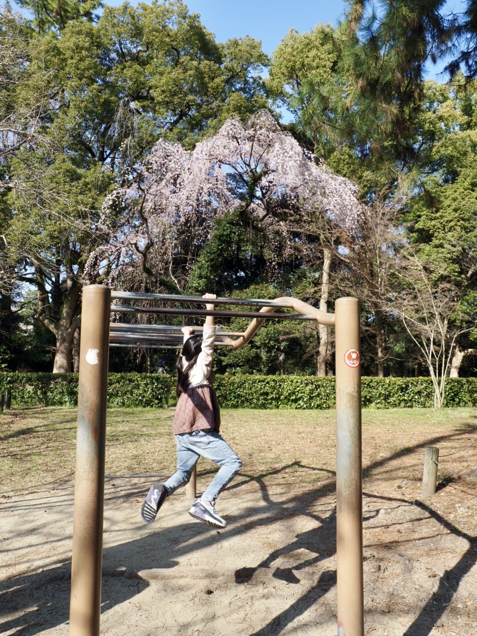 2026-03-21 15-14-29.jpeg 2026-03-21 15-14-29.