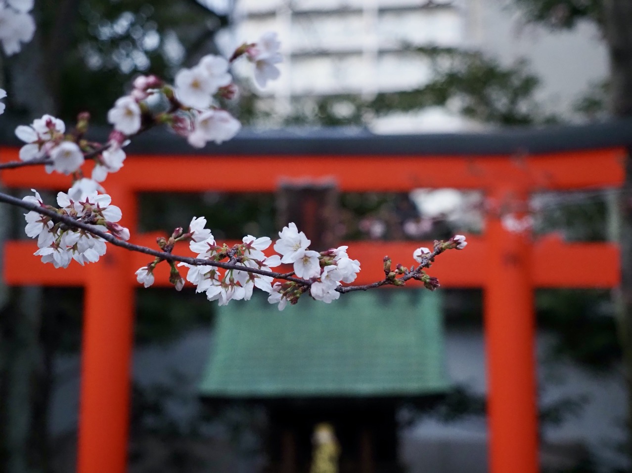 2026-03-26 18-22-19.