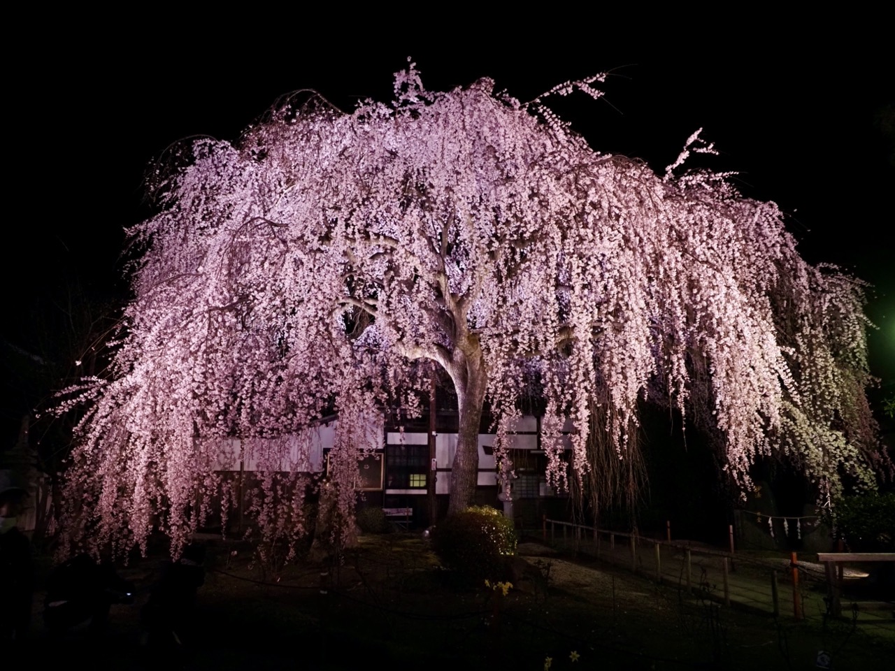 2026-03-26 19-16-56.