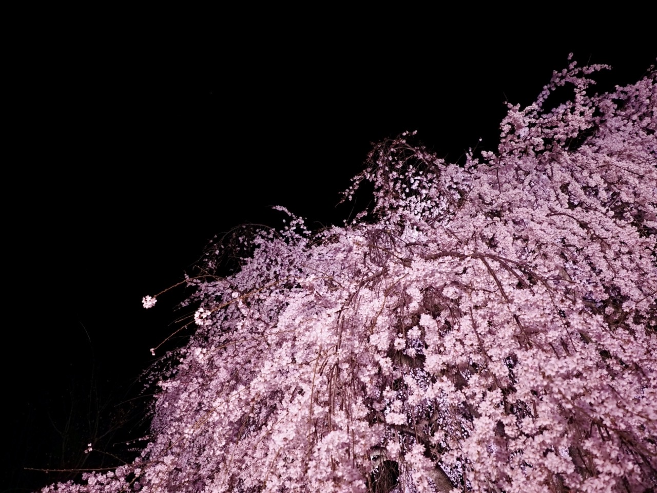 2026-03-26 19-17-45.