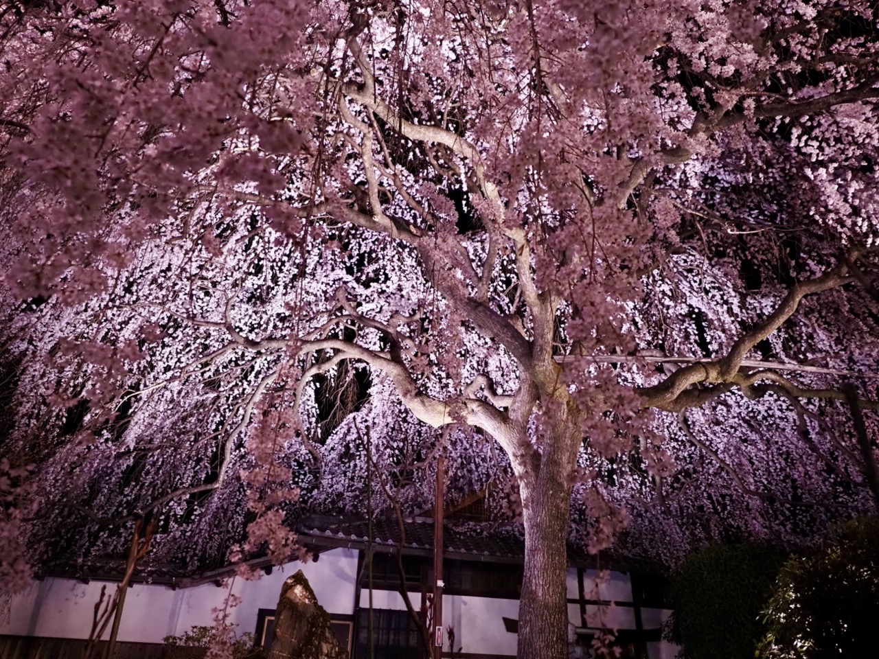 2026-03-26 19-18-11.