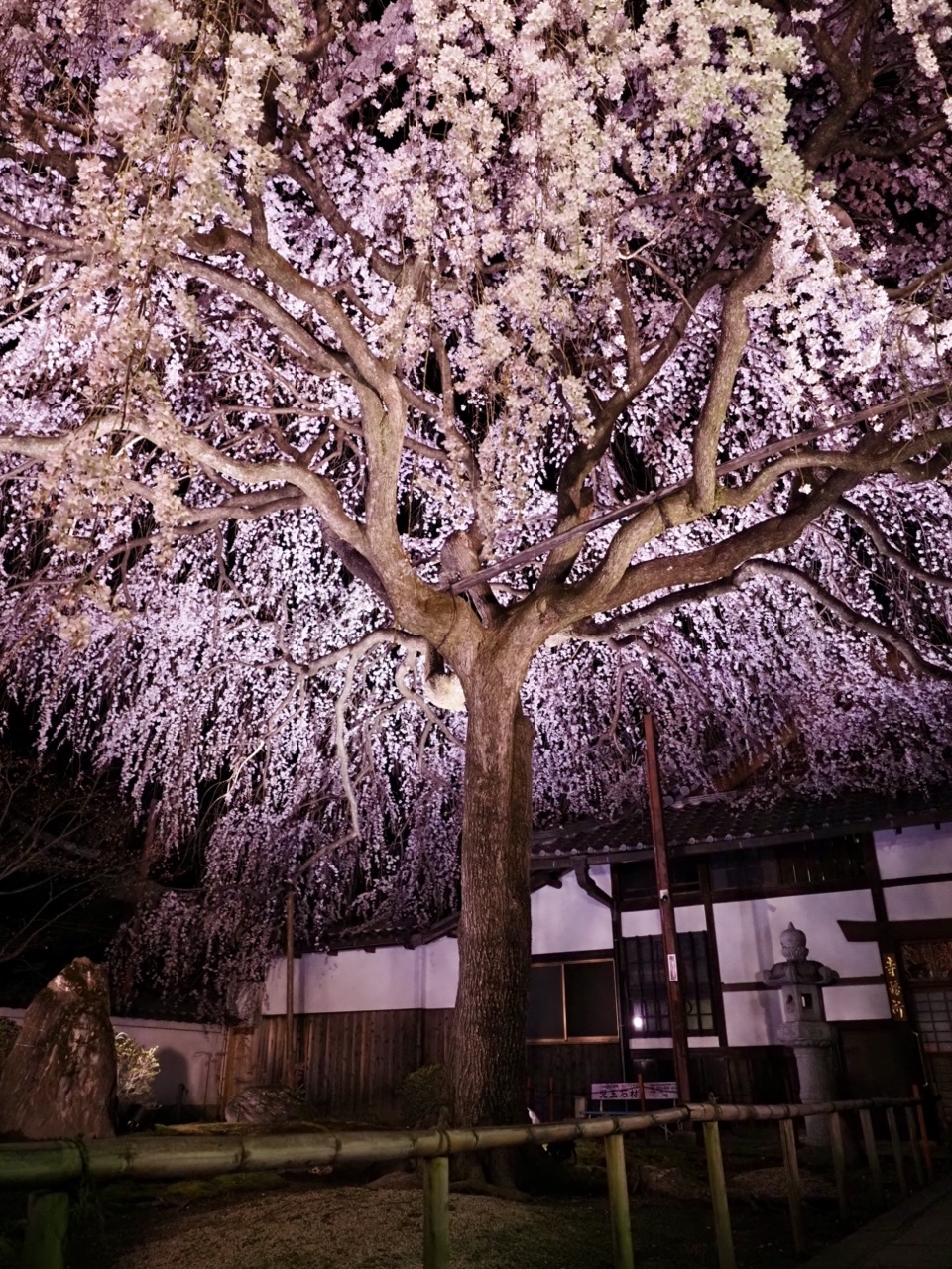 2026-03-26 19-19-55.