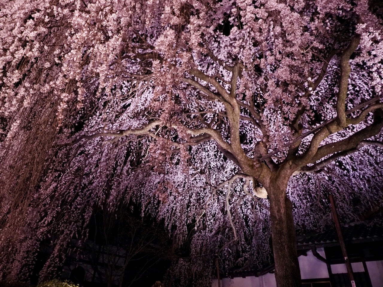 2026-03-26 19-46-04.