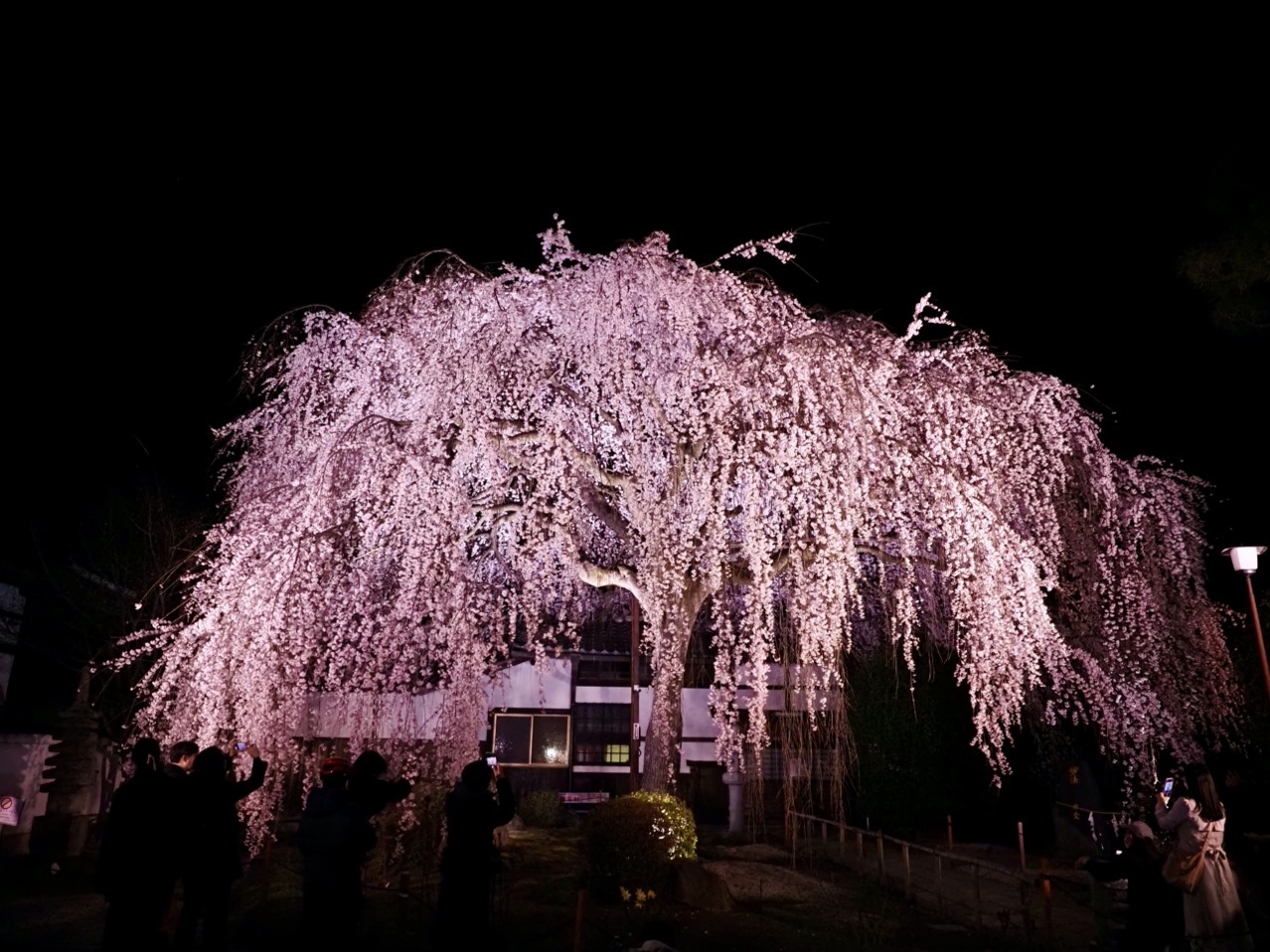 2026-03-26 20-00-14.