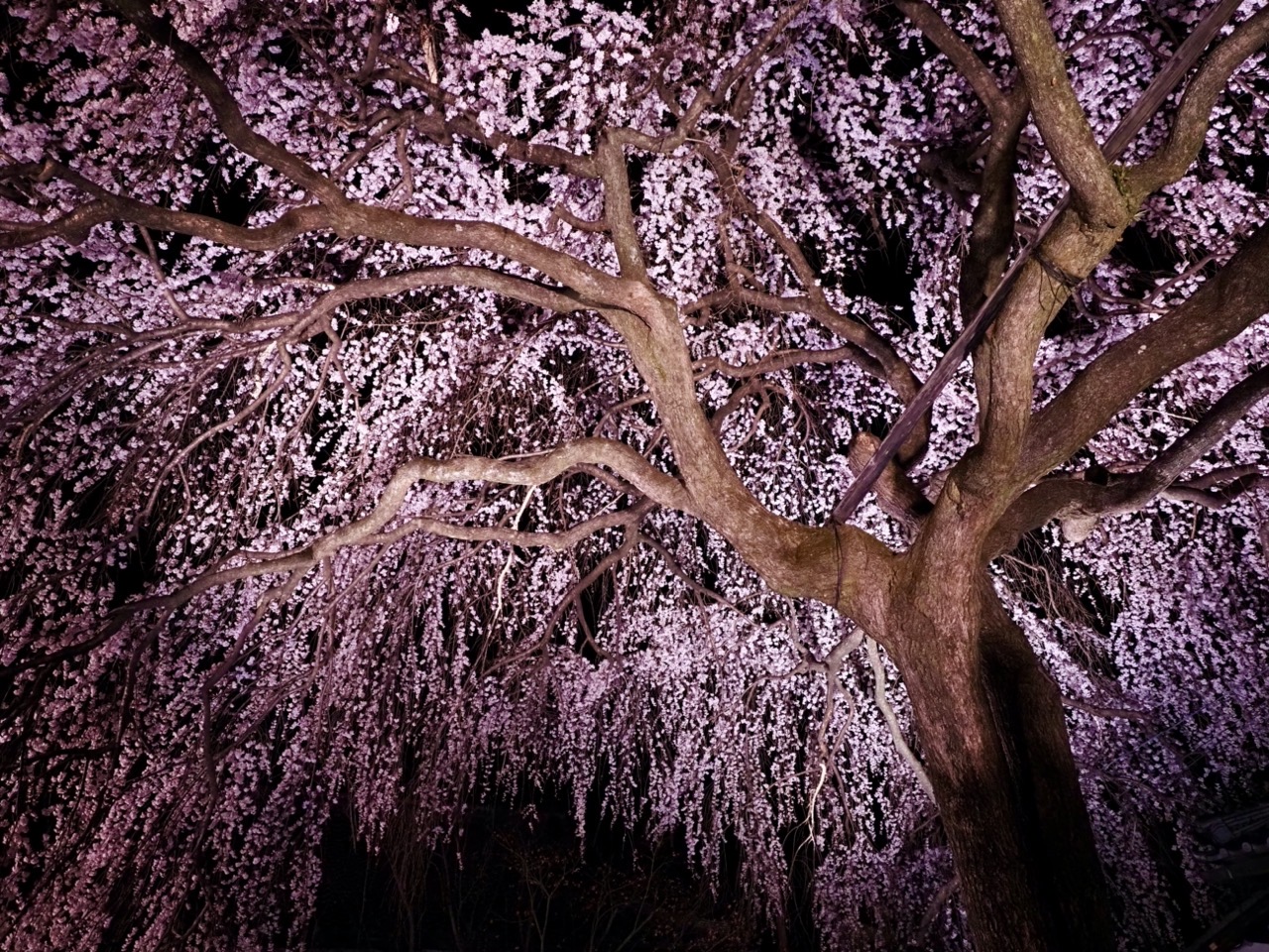 2026-03-26 20-15-22.