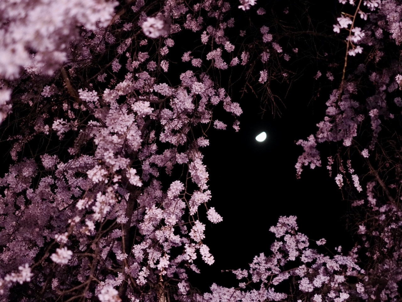 2026-03-26 20-17-32.